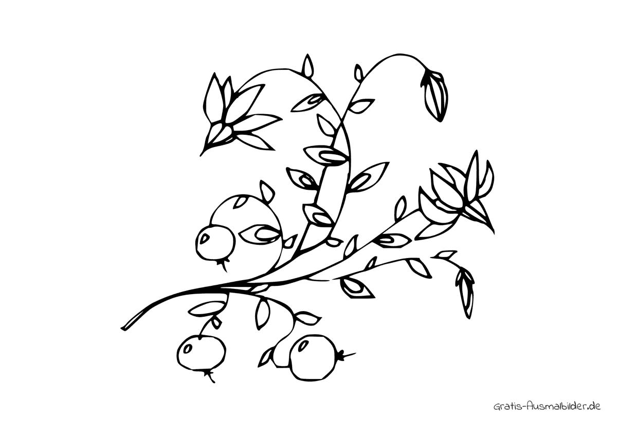 Ausmalbild Zweige mit Beeren