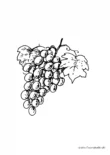 Ausmalbild Weintrauben