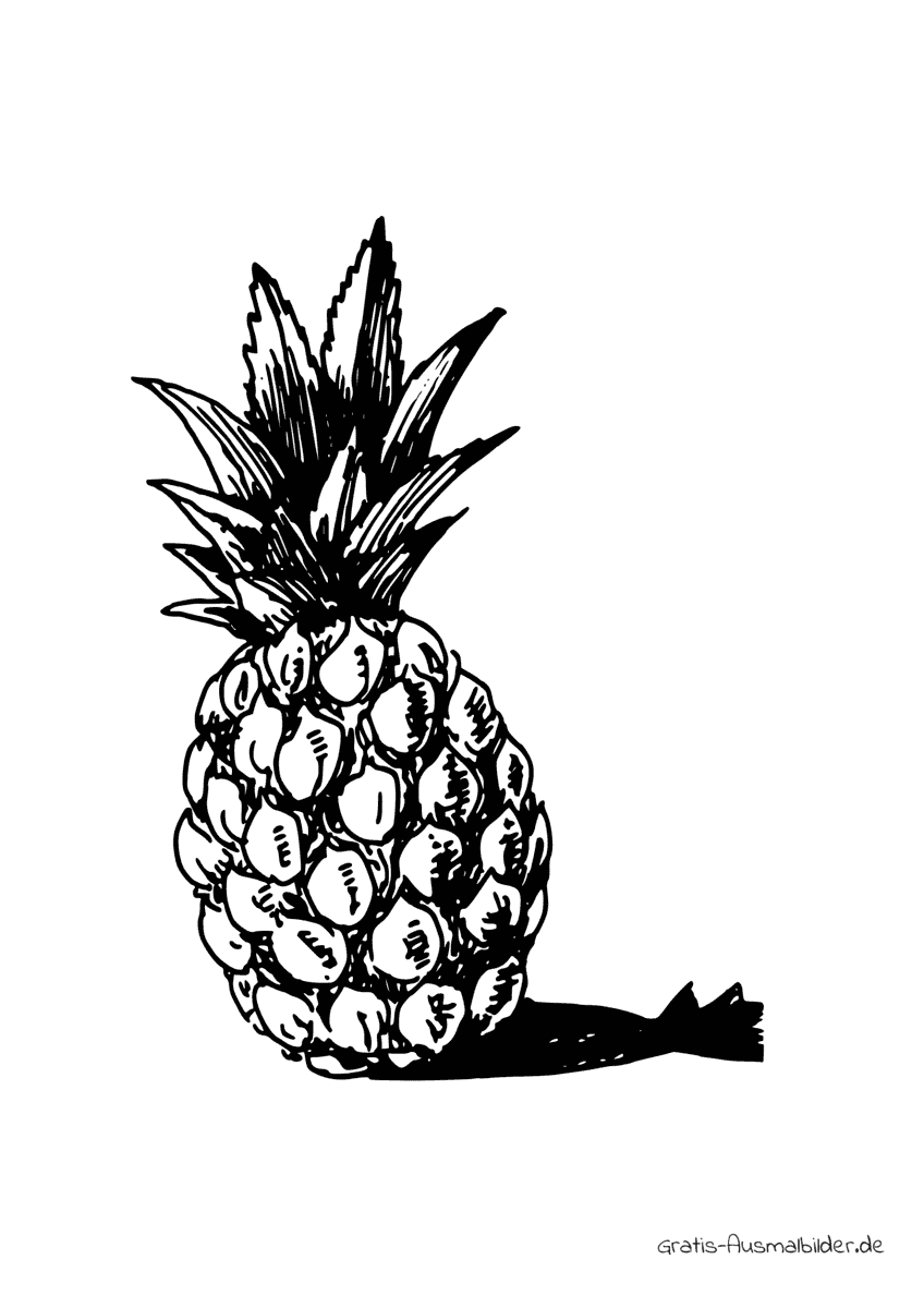 Ausmalbild Ananas mit Schatten