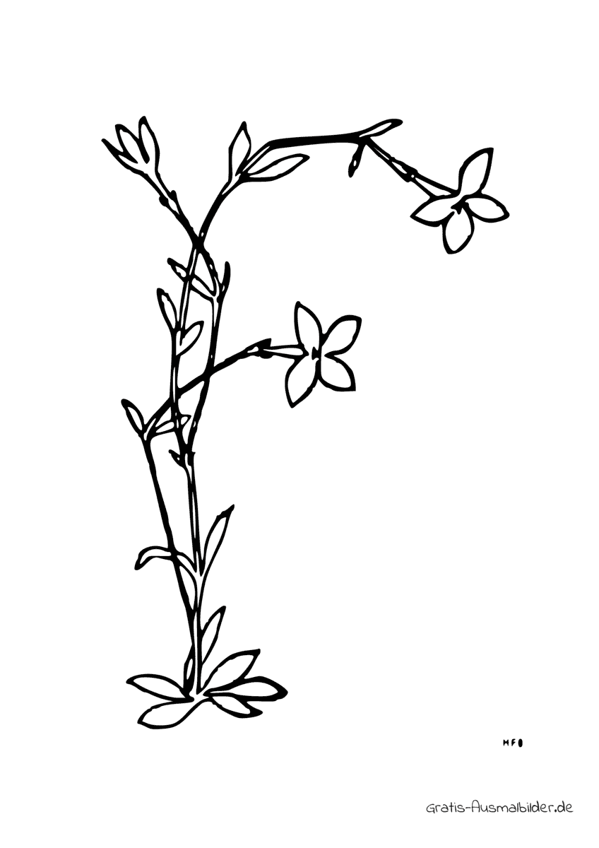 Ausmalbild F aus Blumen