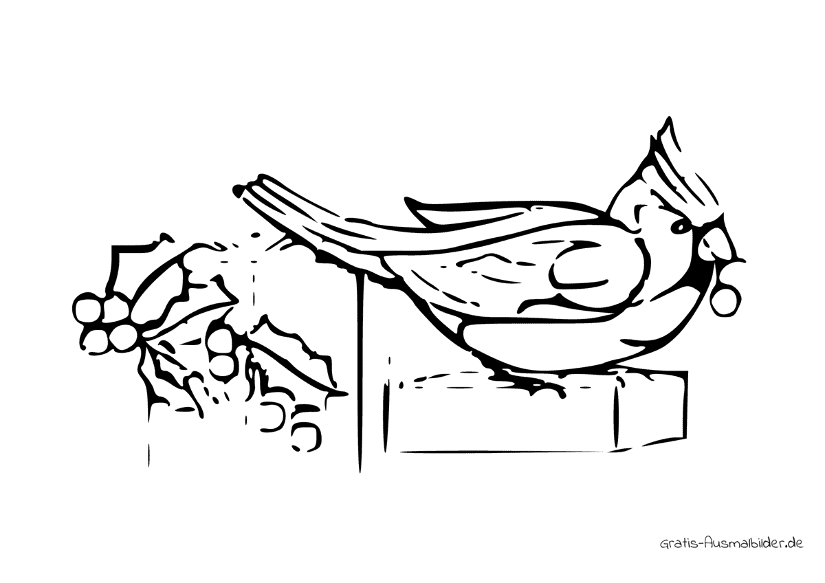 Ausmalbild Vogel auf Geschenk
