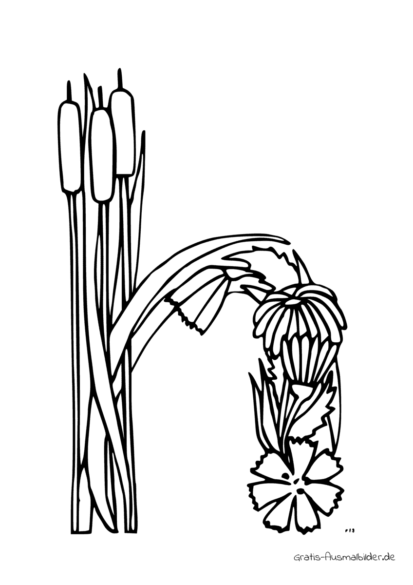 Ausmalbild H aus Pflanzen