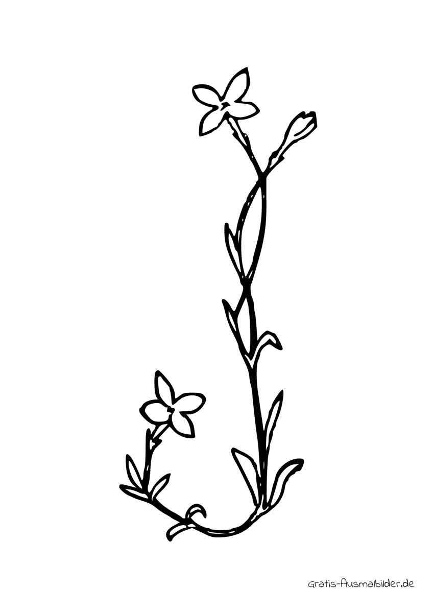 Ausmalbild J aus zwei Blumen