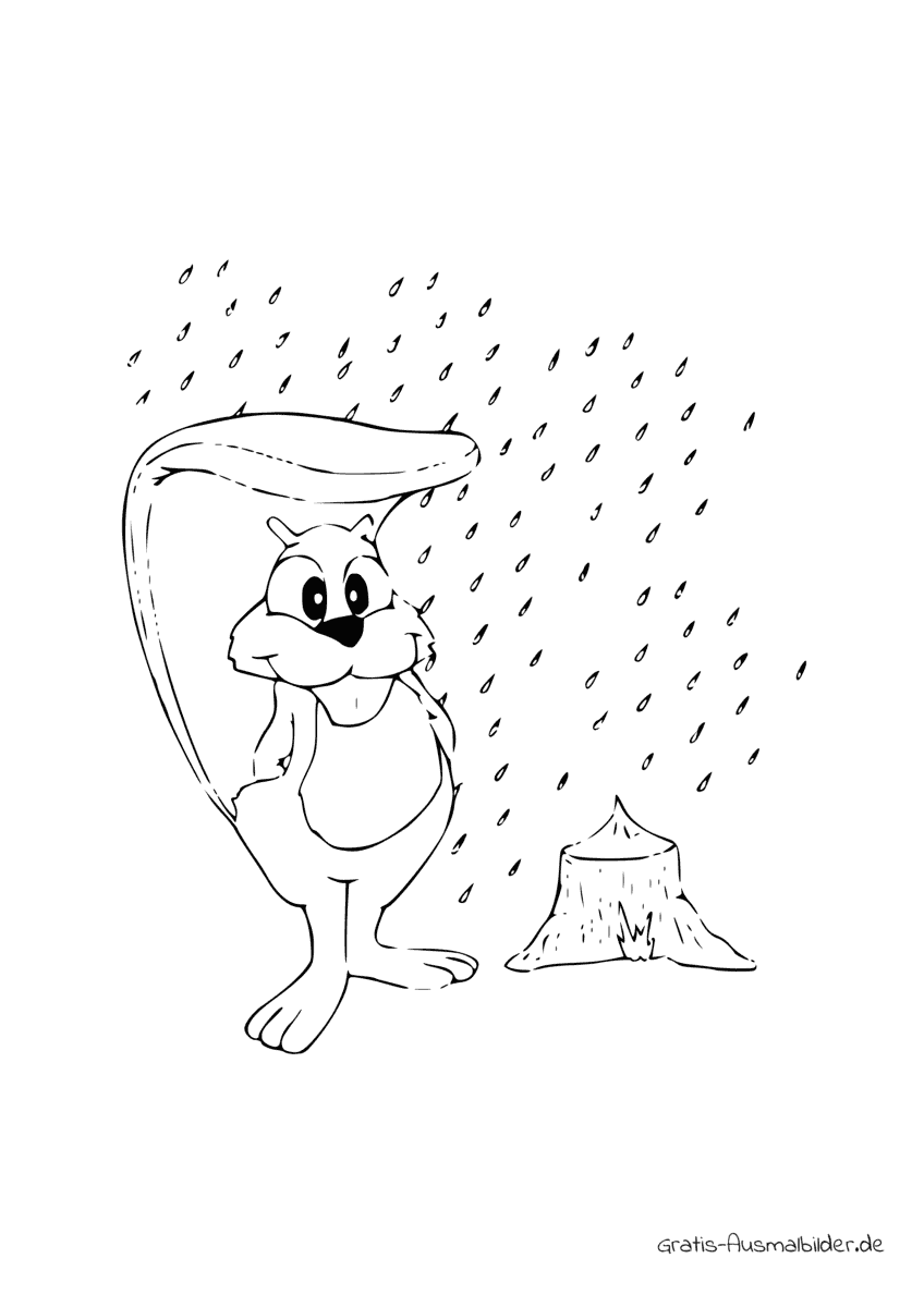 Ausmalbild Eichhörnchen im Regen