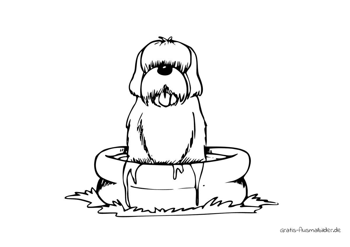 Ausmalbild Hund im Planschbecken