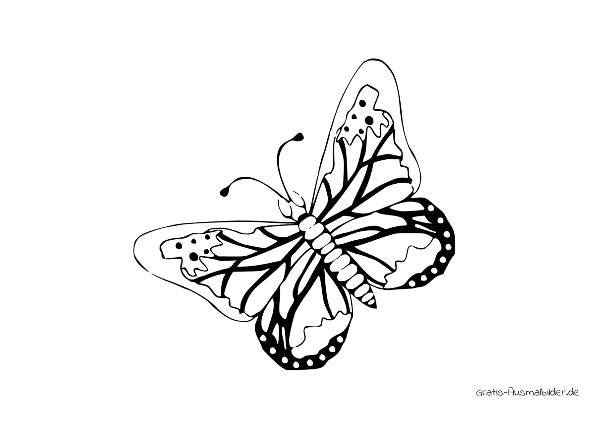 Ausmalbild Schmetterling mit Muster