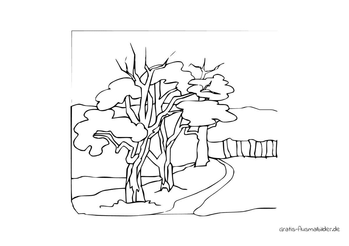 Ausmalbild Bäume mit Weg