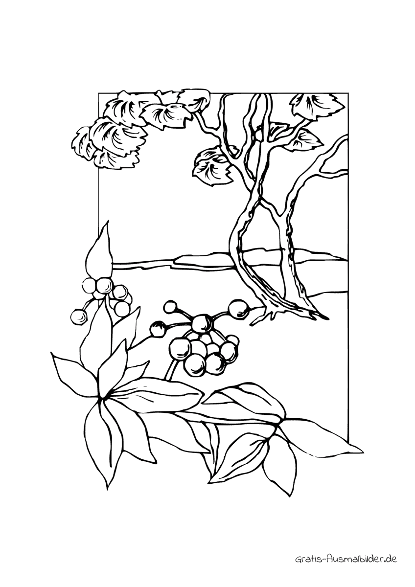 Ausmalbild Baum mit Beeren