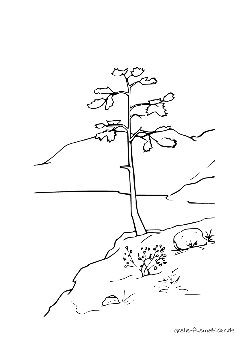 Ausmalbild Einsamer Baum