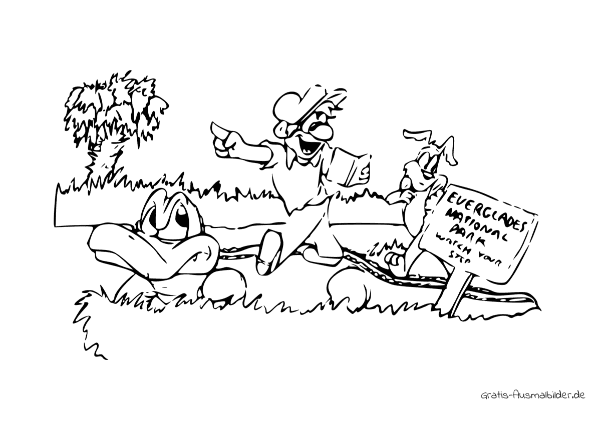 Ausmalbild Everglades Park Kostenlose Malvorlagen bei Gratis