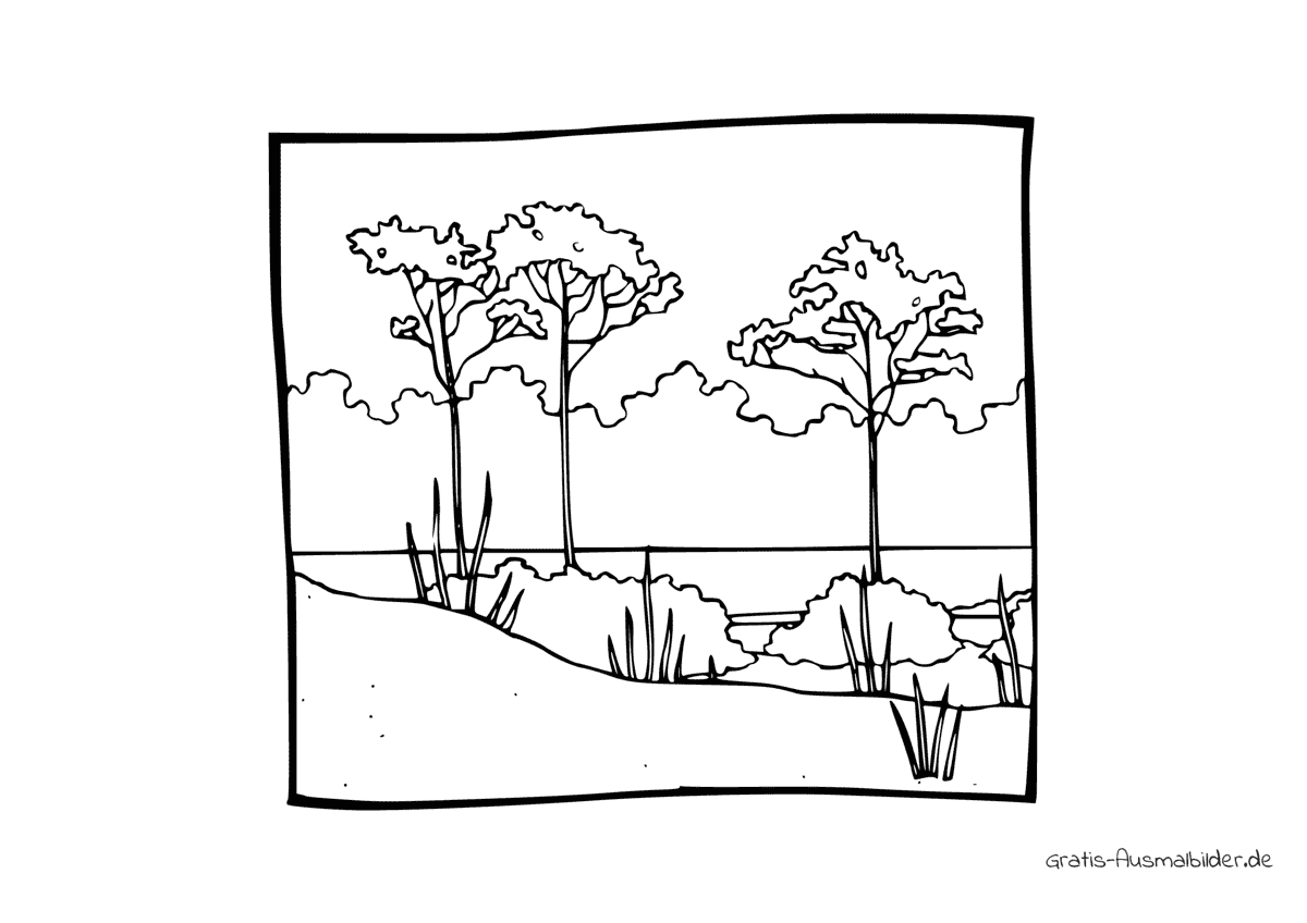 Ausmalbild Hohe Bäume