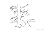 Ausmalbild Kahler einzelner Baum