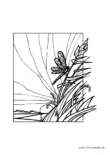 Ausmalbild Libelle auf einer Pflanze