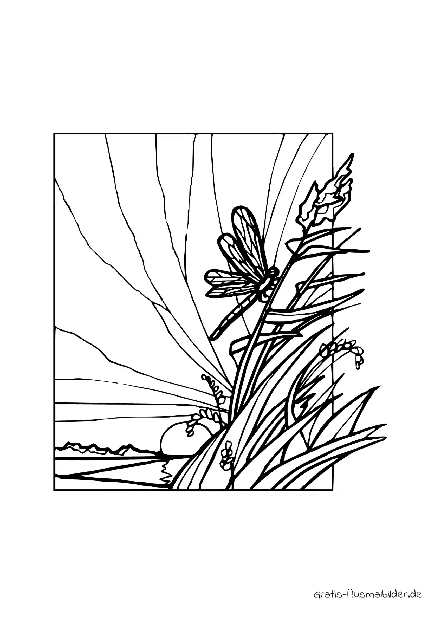 Ausmalbild Libelle auf einer Pflanze