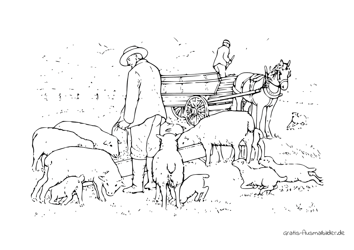 Ausmalbild Männer mit Schafen