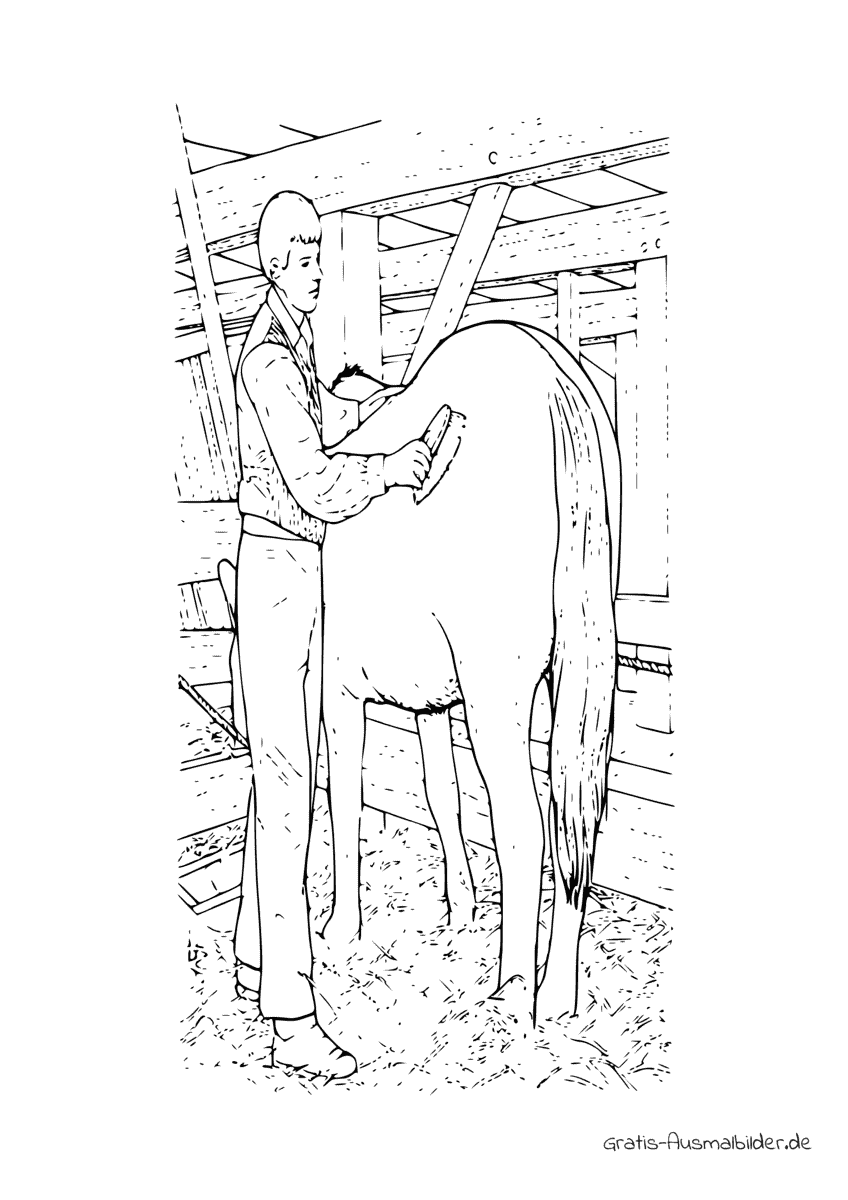 Ausmalbild Mann putzt Pferd