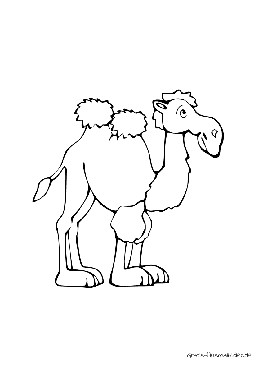 Ausmalbild Kamel