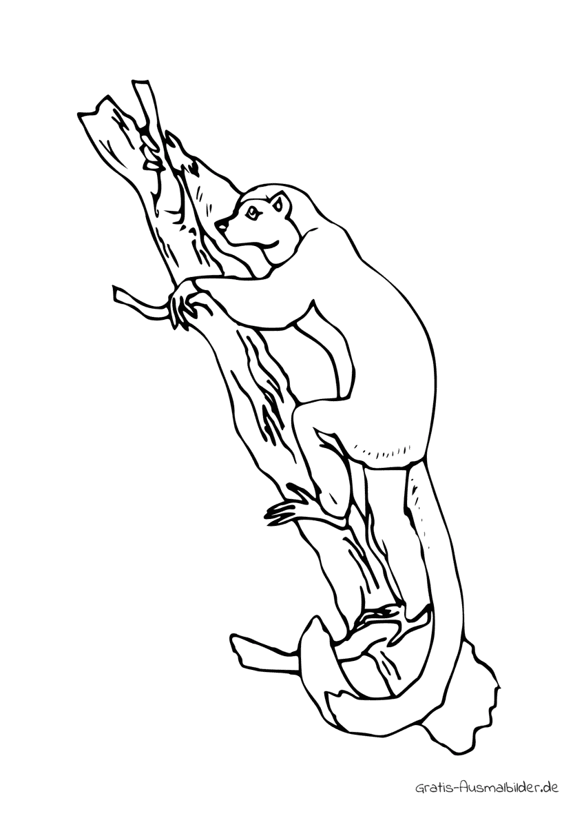 Ausmalbild Affe klettert auf Baum