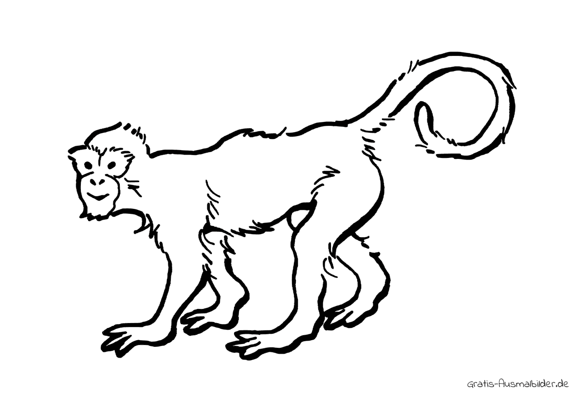 Ausmalbild Affe mit Ringelschwanz