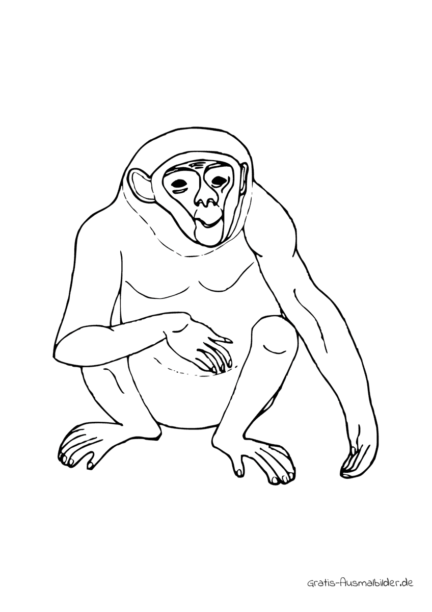 Ausmalbild Affe sitzend