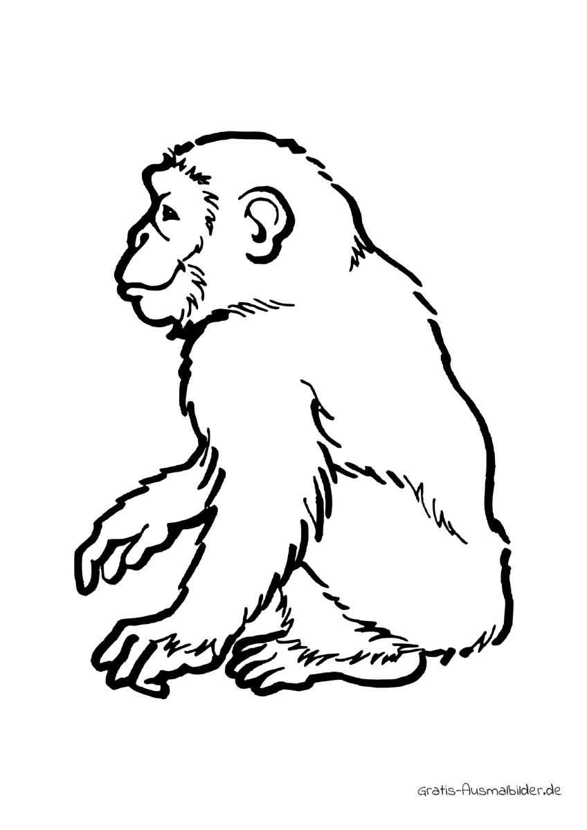 Ausmalbild Glücklicher Affe sitzend