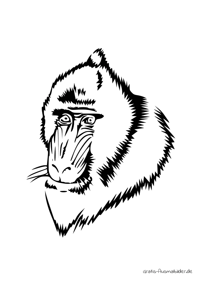 Ausmalbild Kopf Affe