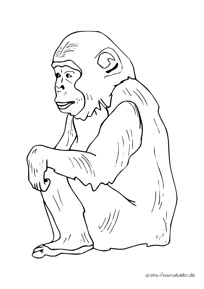Ausmalbild Sitzender Affe