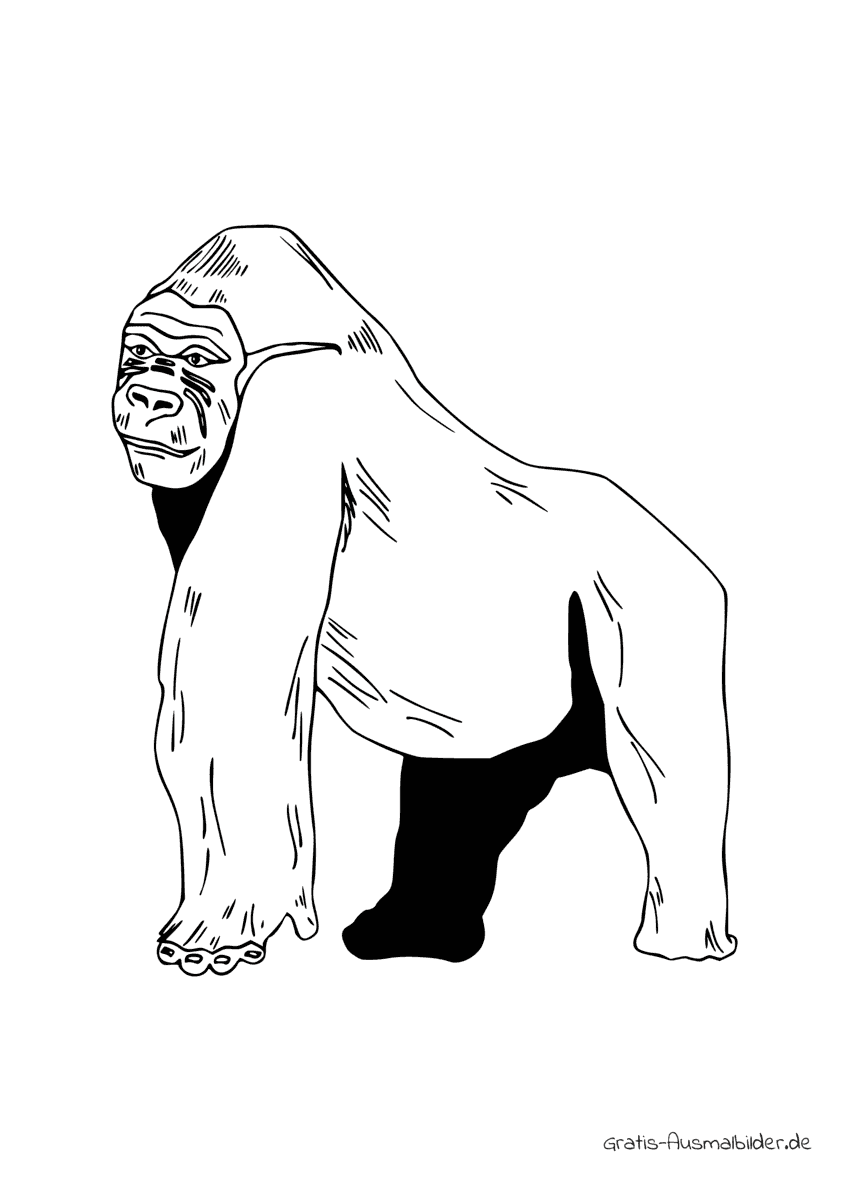 Ausmalbild Stolzer Gorilla