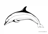 Ausmalbild Delphin im Sprung
