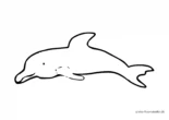 Ausmalbild Delphin Kinderzeichnung