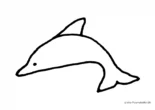 Ausmalbild Delphin ohne seitliche Flossen