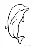 Ausmalbild Delphin schematisch