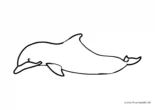Ausmalbild Delphin seitlich