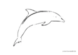 Ausmalbild Delphin springend