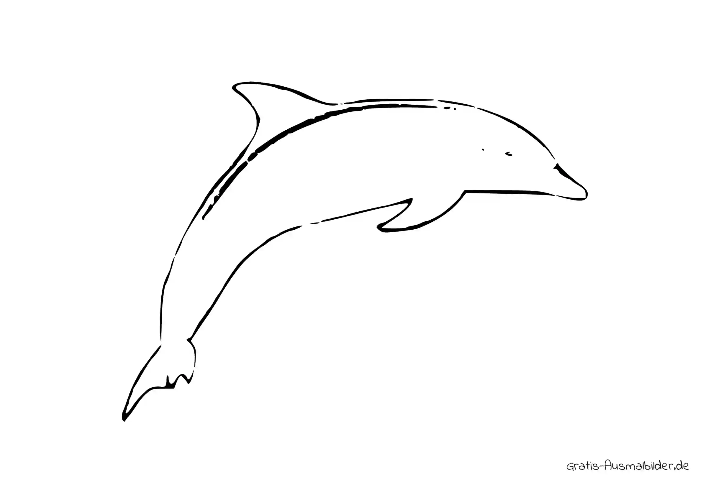 Ausmalbild Delphin springend