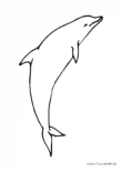 Ausmalbild Delphin springt