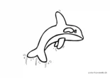 Ausmalbild Delphin springt aus dem Wasser