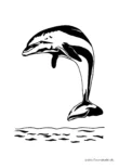 Ausmalbild Delphin springt aus dem Wasser heraus