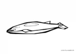 Ausmalbild Delphin Wal