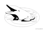 Ausmalbild Delphin Wappen