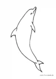 Ausmalbild Ein Delphin