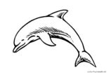 Ausmalbild Fröhlicher Delphin