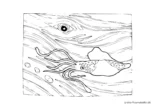 Ausmalbild Kleiner Tintenfisch und Wal