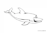 Ausmalbild Lachender Delphin
