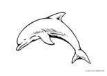 Ausmalbild Lächelnder Delphin springt