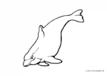 Ausmalbild Niedlicher dicker Delphin