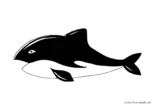 Ausmalbild Orca Wal