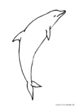 Ausmalbild Schematischer Delphin schwimmt nach oben
