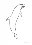 Ausmalbild Springend Delphin