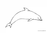 Ausmalbild Springender Delphin